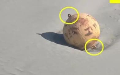 日本海岸現不明球狀物:直徑1.5米 背后真相實在是讓人大吃一驚