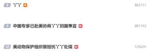 丫丫回國時間線 丫丫現(xiàn)狀曝光實在是讓人心疼