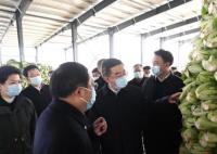 湖南省委書(shū)記調(diào)研土坑酸菜事發(fā)地 小小的酸菜備受關(guān)注