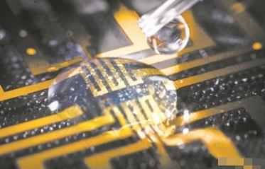 科學(xué)家在大腦中培育出電極 原因竟是這樣實(shí)在是太意外了