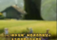 30歲以上大齡未婚青年非常普遍 背后真相曝光簡(jiǎn)直太驚人了