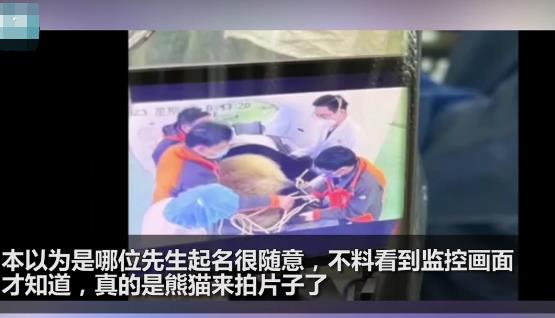醫(yī)院有位患者叫熊貓是真熊貓 結(jié)果真的令人大吃一驚