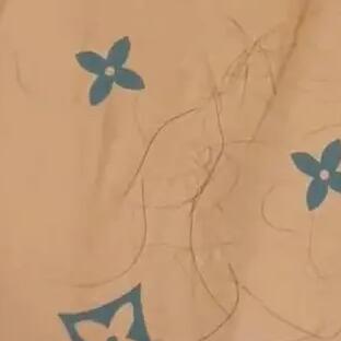 女子曝楊子直播間賣的被子里全是頭發(fā) 原因揭秘直接讓人傻眼 