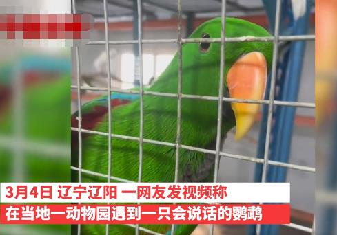 遼寧一動物園鸚鵡滿嘴東北味 背后真相曝光簡直太驚人了