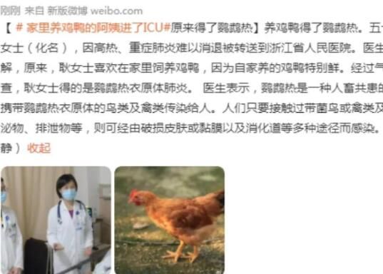 女子喜歡養(yǎng)雞鴨患鸚鵡熱住進ICU 原因竟是這樣實在是太意外了