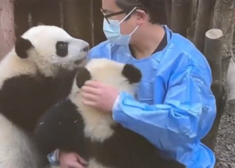 向熊貓福菀潑水3游客身份未確定 原因竟是這樣實在是太意外了