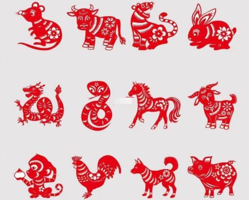 靈丹妙藥是什么生肖?