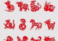 后院起火打一生肖?