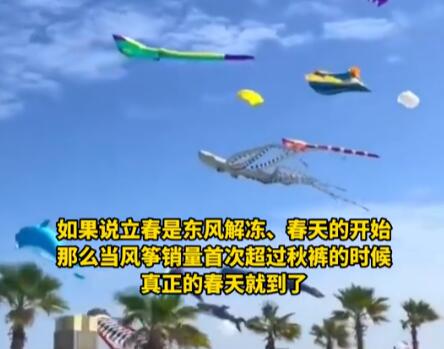 海洋風(fēng)箏爆火 網(wǎng)友:春天的信號(hào)真正的春天就到了