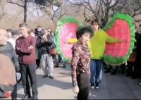 沈陽一公園整治鉆褲襠等不雅舞姿 背后真相曝光簡直太驚人了