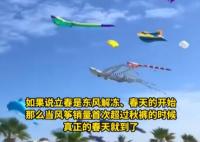 海洋風(fēng)箏爆火 網(wǎng)友:春天的信號(hào) 原因竟是這樣讓人驚呆了
