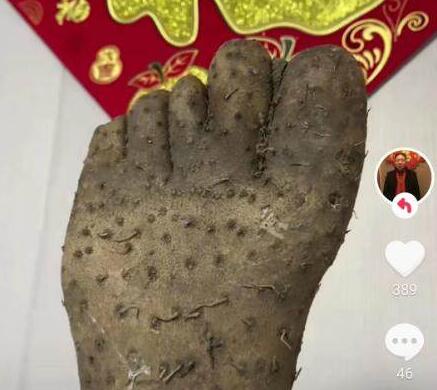 男子買到奇葩山藥外形酷似人腳掌 背后真相曝光簡直太驚人了