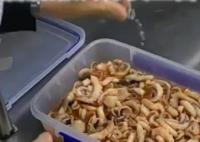 酒店讓員工給菜下藥系自導(dǎo)自演 真相曝光簡(jiǎn)直太驚人了