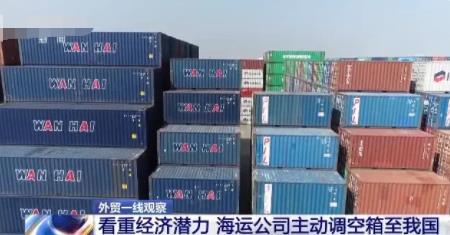 空箱堆港?記者實地探訪寧波舟山港 到底是什么情況?