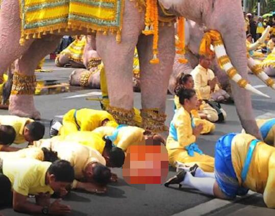 帶團泰國導(dǎo)游稱以為噶腰子是笑話 到底是什么情況?