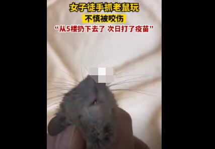 女子徒手抓老鼠玩不慎被咬傷 真相曝光簡(jiǎn)直太驚人了