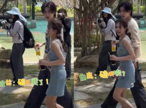 張凌赫白鹿寧安如夢(mèng)團(tuán)綜叫什么?