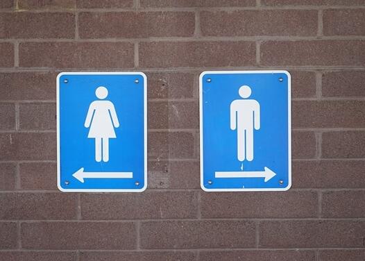 高校將部分男廁改女廁引熱議 事件始末是什么?
