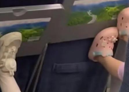 孩子高鐵上狂踢前排家長無動于衷 到底是什么情況?