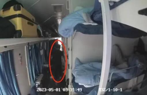 男子列車上猥褻女子被拘10天 背后真相簡直驚呆了眾人