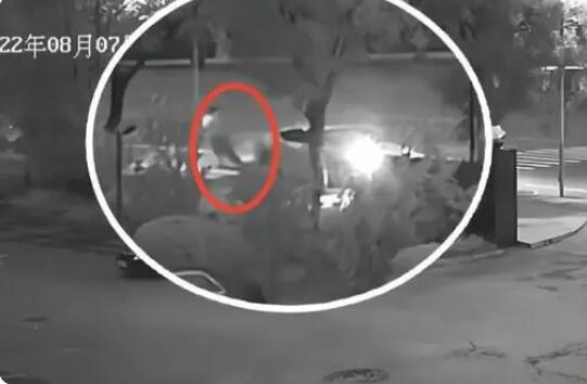 男子無(wú)證酒駕撞人拋尸 事件始末是什么?