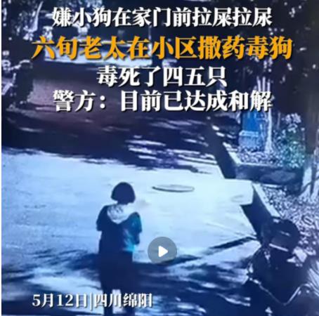 女子疑在小區(qū)內(nèi)撒藥致多條狗死亡 背后原因簡(jiǎn)直驚呆了眾人