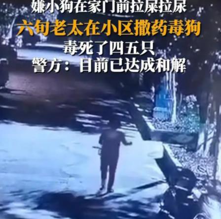 女子疑在小區(qū)內(nèi)撒藥致多條狗死亡 真相到底是什么?