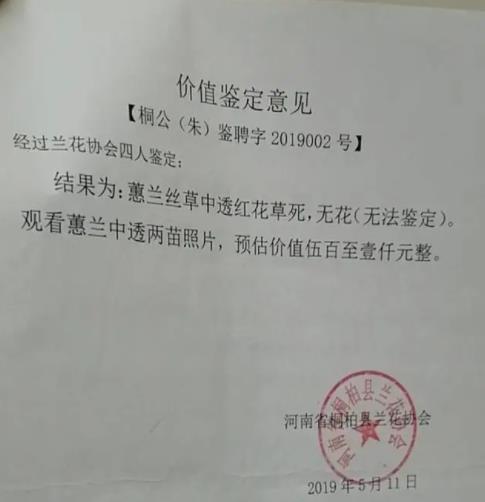 農(nóng)婦掐走兩枝蘭花被判三緩四 原因竟是這樣實在是太意外了