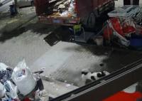 寵物貓被鄰居高空扔下活活摔死 照片曝光實(shí)在是太嚇人了