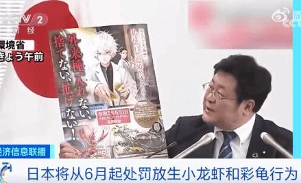 日本6月起禁止出售或放生小龍蝦 真相離奇讓人直呼太意外