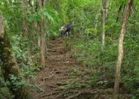 驢友爬山遭雷擊:直挺倒下全身麻木 真相離奇讓人直呼太意外