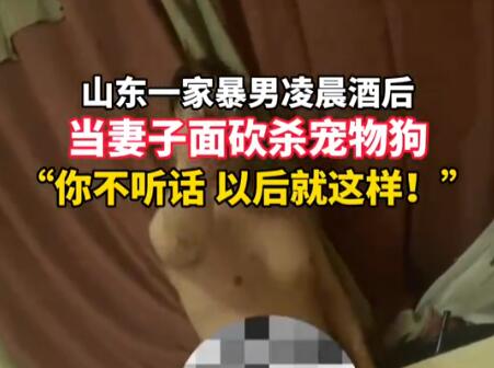 柯基被砍 女子:丈夫說坐牢也不離婚 結(jié)果真的令人大吃一驚