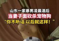 柯基被砍 女子:丈夫說坐牢也不離婚 結(jié)果真的令人大吃一驚