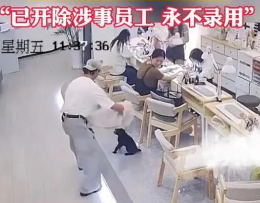 小狗進(jìn)入美發(fā)店被店員裝麻袋摔死 到底是什么情況?