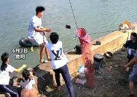 男子掉入魚塘前緊急扔出手機(jī) 背后原因簡(jiǎn)直驚呆了眾人