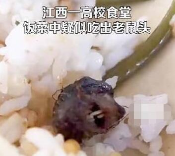 高校鼠頭涉事窗口幾乎沒(méi)人去吃飯 真相離譜實(shí)在是太讓人惡心了