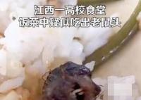 高校鼠頭涉事窗口幾乎沒人去吃飯 真相離譜實在是太讓人惡心了