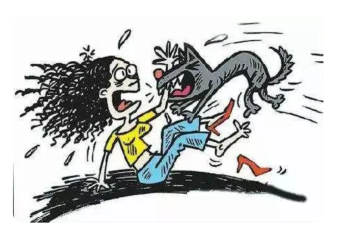 學(xué)?；貞?yīng)校內(nèi)數(shù)只大型犬咬傷學(xué)生 原因竟是這樣實(shí)在是太意外了