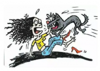 學(xué)?；貞?yīng)校內(nèi)數(shù)只大型犬咬傷學(xué)生 真相曝光簡(jiǎn)直太驚人了