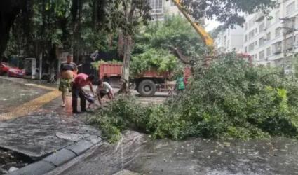 安徽12級大風(fēng)刮倒龍門吊致3死 事故原因?qū)嵲谑翘屓艘馔饬?></EM><SPAN>安徽12級大風(fēng)刮倒龍門吊致3死 事故原因?qū)嵲谑翘屓艘馔饬?/SPAN></A></LI>
        <LI><A href=