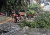 安徽12級大風刮倒龍門吊致3死 原因揭秘直接讓人傻眼了