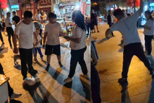 家長找商家退貓遭拒把貓摔死 真相曝光簡直太驚人了