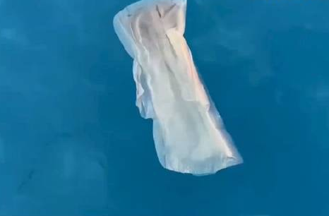 泳池驚現(xiàn)衛(wèi)生巾?園方回應(yīng) 真相揭露真的令人大吃一驚