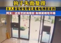 狗狗嫌天熱自己坐電梯回家 原因竟是這樣實(shí)在是太意外了