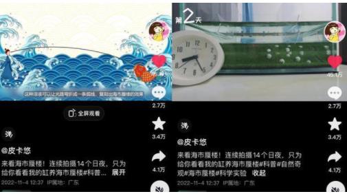 女生用一個(gè)魚缸做出海市蜃樓 經(jīng)過反復(fù)失敗終于成功了