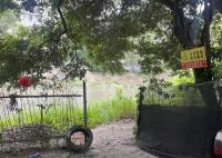 成都兩男子救溺水女子后失聯(lián) 事發(fā)河道內(nèi)有3-4個(gè)近4米深的坑