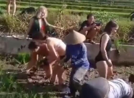 游客穿比基尼幫巴厘島農(nóng)民種莊稼 照片一出讓人大為震撼