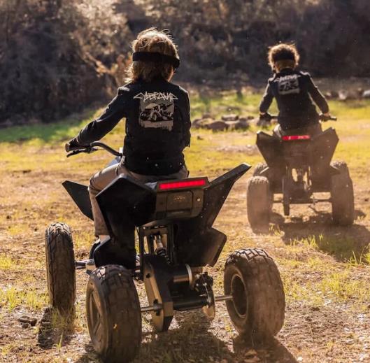 特斯拉玩具車二手價(jià)大跳水 真相太出乎意料了