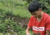 涼山小伙考上北大 錄取前還在干農(nóng)活 得知被錄取激動(dòng)的落淚 