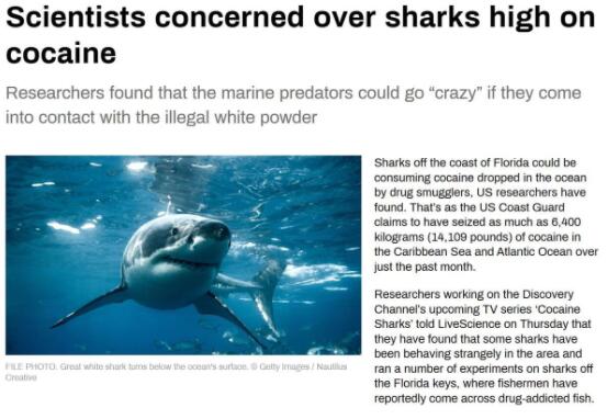 美國毒販海岸扔毒品或致鯊魚上癮 真相曝光簡直太驚人了